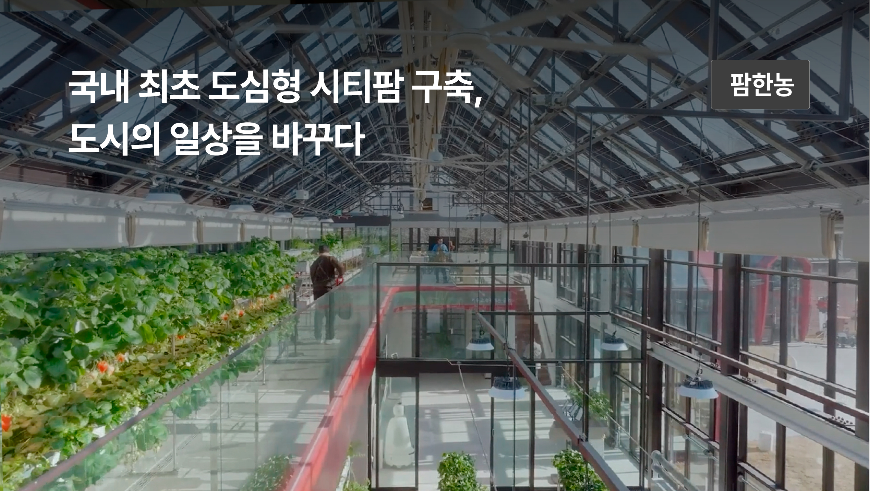 도시의 일상을 바꾸는 국내최초 도심형 시티팜, 창사원 구축